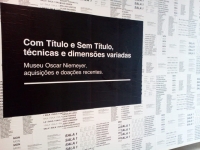 http://ananorogrando.com.br/files/gimgs/th-258_01-Jhon Erik Voese-WA0026.jpg